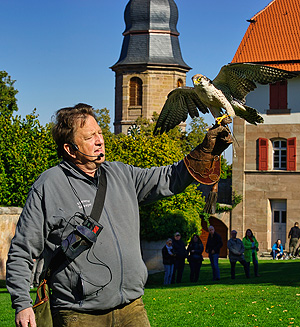 Bild: Falkner mit Adler