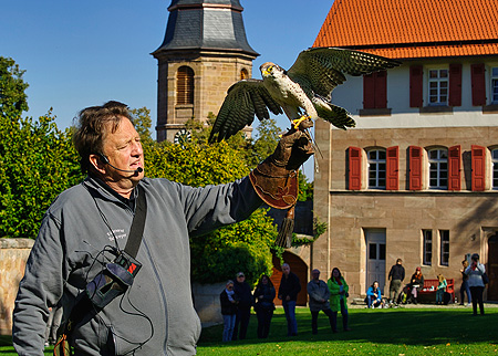 Greifvogelvorführung