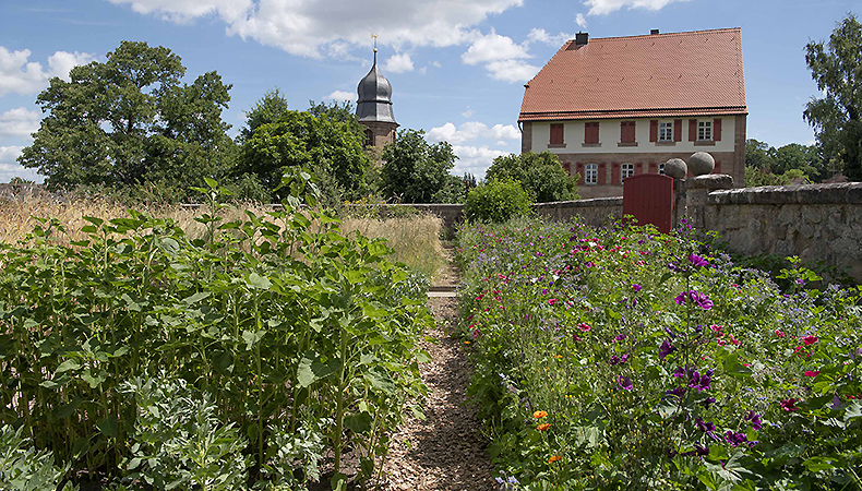 Bild: Burggarten