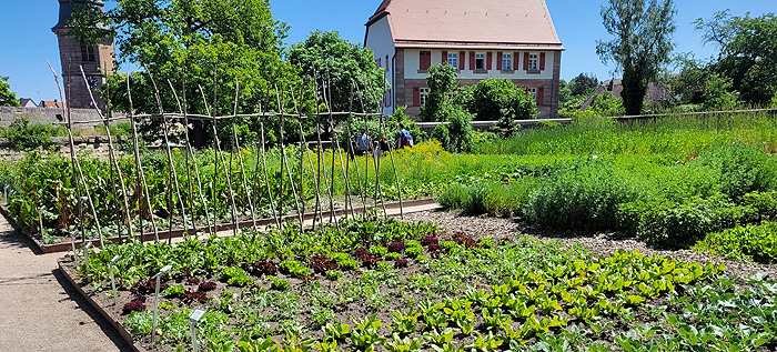 Bild: Burggarten